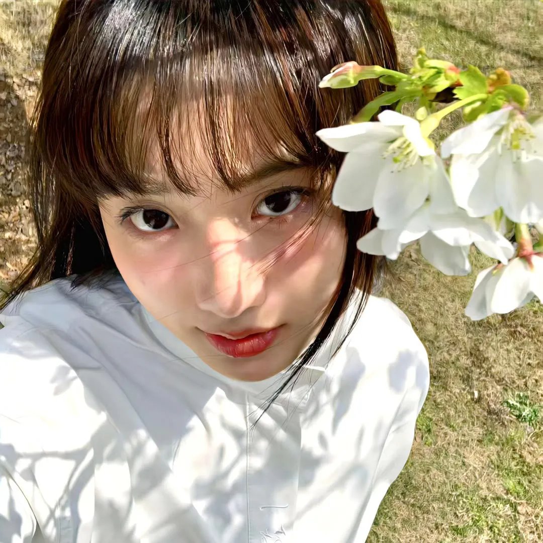 香车绮梦